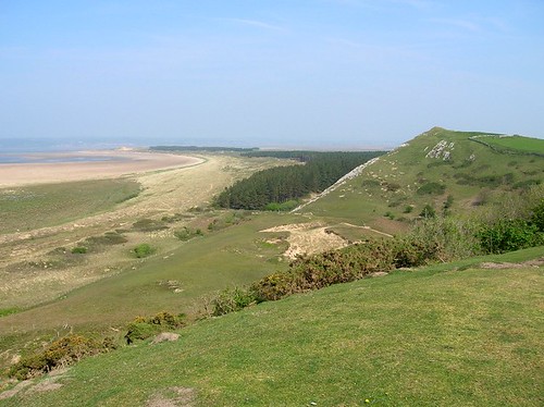 Pine plantation and dunes at Whiteford Burrows