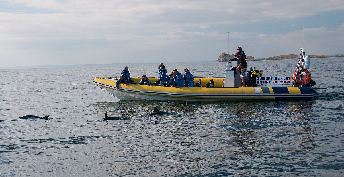 RIB boat tour on the south Gower coast