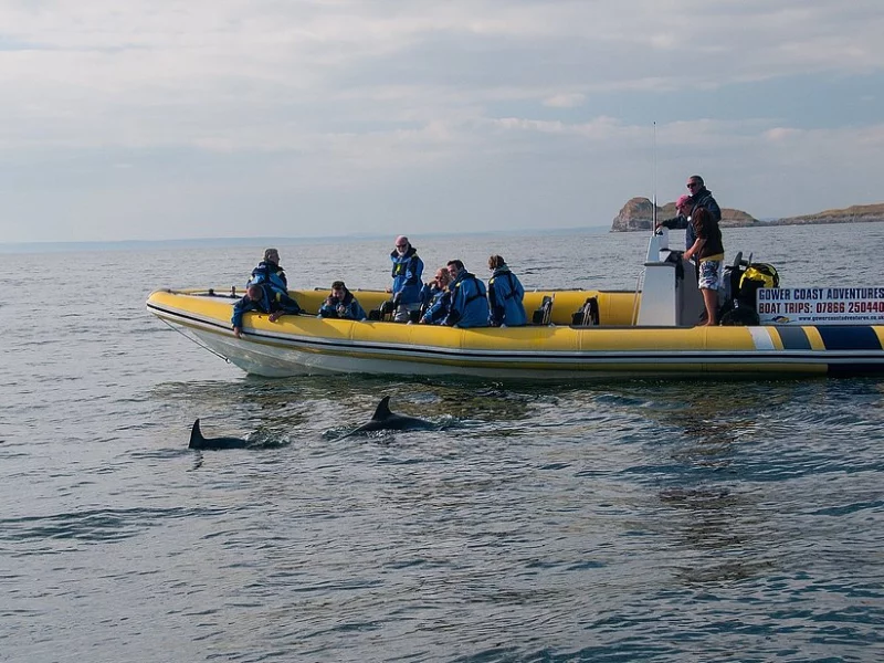 Boat tour off the Gower coastline