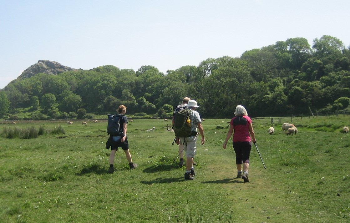 Woodland path on the Llanmadoc Circular walk